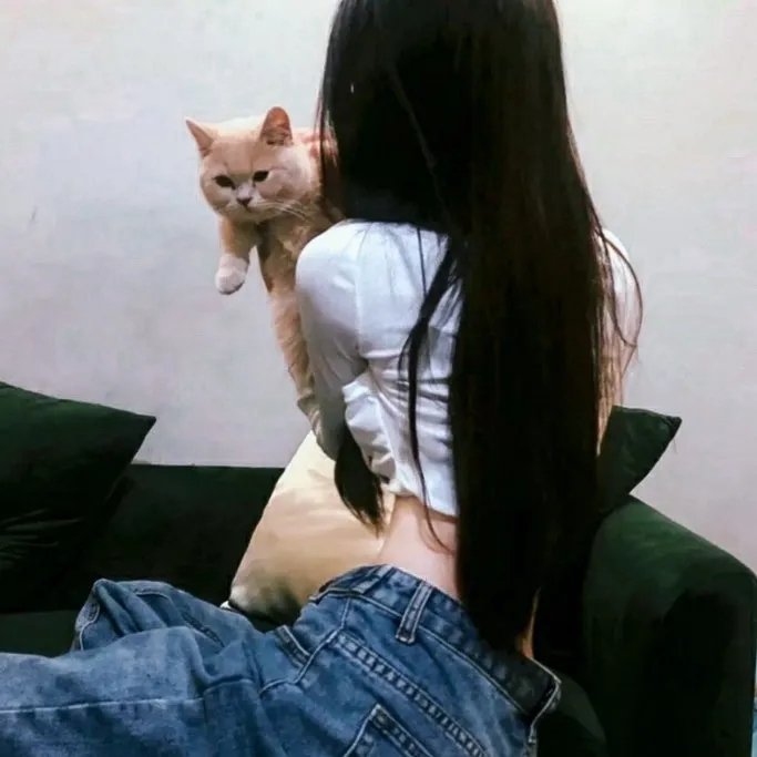 一键倾心